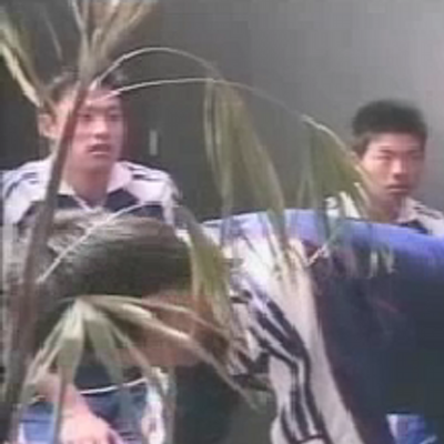 kanyoushokubutsukun_400x400